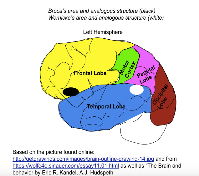 Screen Shot 2018-09-11 at 9.07.20 PM.png