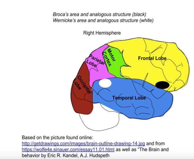 Screen Shot 2018-09-11 at 9.09.08 PM.png