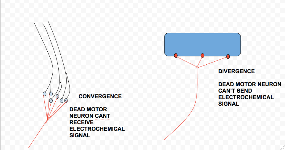 Screen Shot 2018-09-24 at 8.12.18 AM